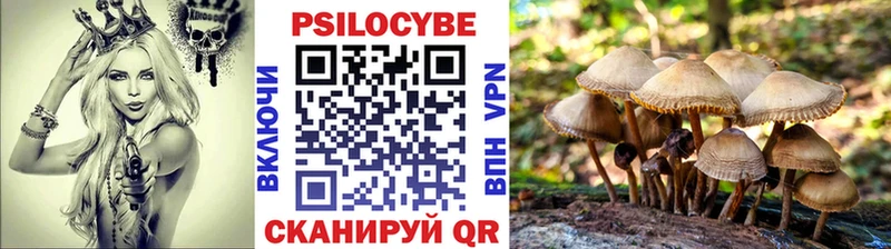 Купить  Электросталь  Псилоцибиновые грибы Psilocybine cubensis 